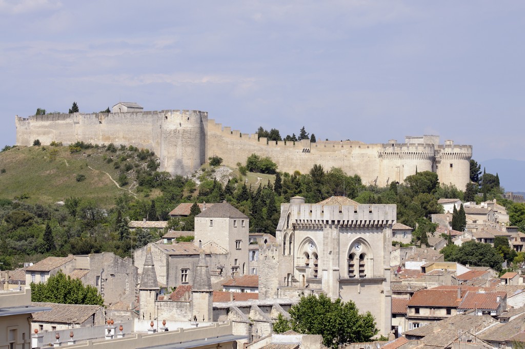 Tourisme Gard, fort Saint André, Villeneuve-lès-Avignon